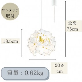 hover image