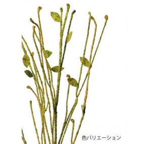 hover image